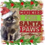 Christmas Cat Cookies Santa Art