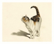 Ilustración de arte vintage de gato