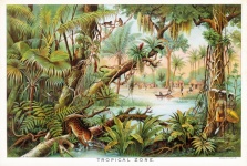 Artă peisaj de pădure tropicală