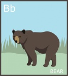 Буква B, медвежий алфавит