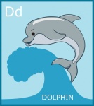 Písmeno D, Abeceda delfínů