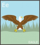 Буква E, алфавит орла