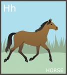 Буква H, лошадиный алфавит
