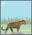 Буква J, алфавит ягуара