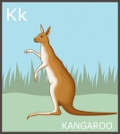 Буква K, алфавит кенгуру
