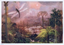 Arte vintage primitivo de libélula