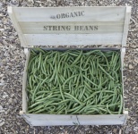 Organic String Beans