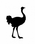 Clipart de silhueta de avestruz