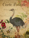 Cartão postal floral vintage de avestruz