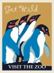 Poster dello zoo dei pinguini