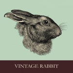 Illustratie konijn hoofd portret