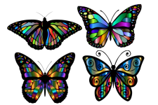 Arcobaleno di farfalle colorate