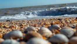Tenger, azov-tenger, strand, part