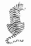 Tigre, strisce, illustrazione, clipart