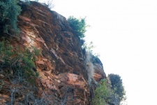 Upwards View Of A Cliff With Trees