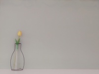 花瓶和花靠在灰色的墙上