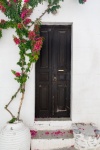 Vintage Door And Flowerpots