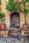 ヴィンテージのドアと植木鉢