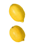 Fruits de citron vintage