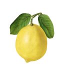 Owoce cytryny w stylu vintage