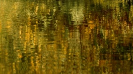 Water Abstract Golden Background