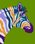 Zebra színes pop art