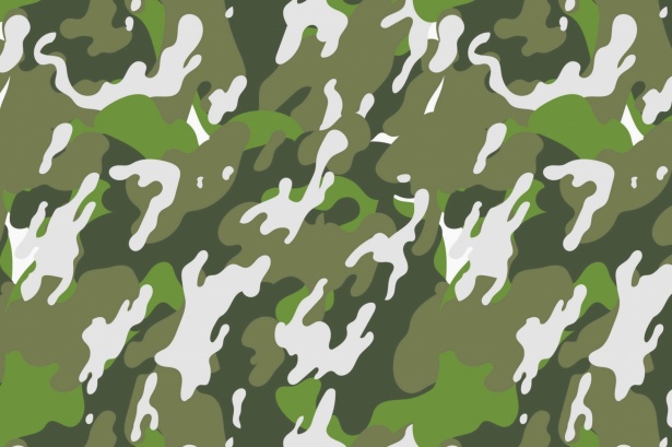 Camouflage Pattern Background Free Stock Photo - Public Domain Pictures