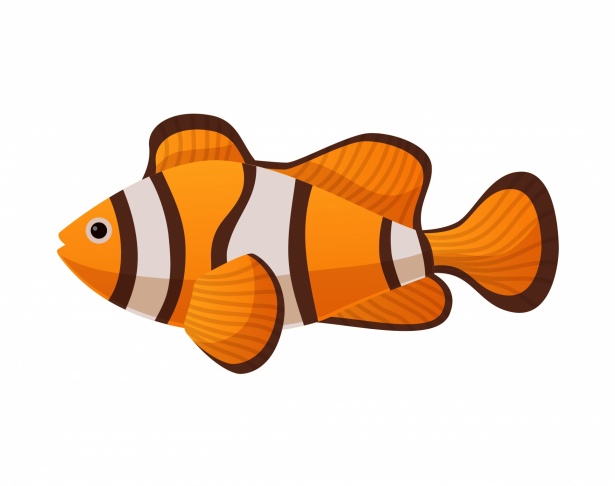 Cute Fish Cartoon Illustration Free Stock Photo - Public Domain Pictures