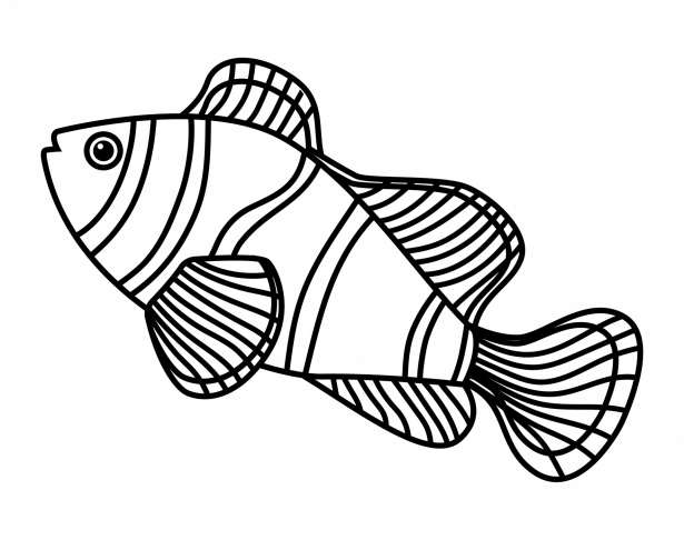 Fish Cartoon Outline Clipart Free Stock Photo - Public Domain Pictures
