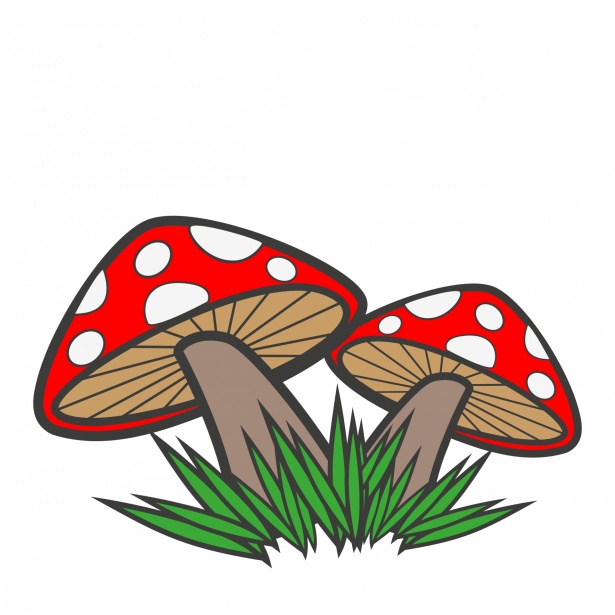 Mushrooms Cartoon Clipart Free Stock Photo - Public Domain Pictures