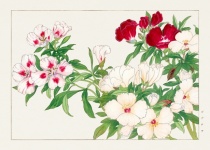 Arte vintage floral em aquarela