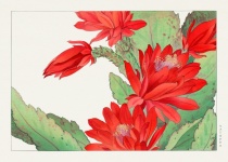 Akvarel květinové vintage umění