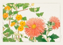 Akvarell blommig vintage konst