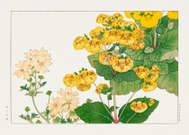 Arte vintage floral acuarela