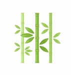 Bamboo Clipart Illustration