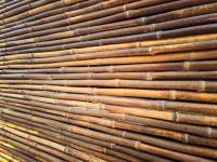 Brown bamboo background