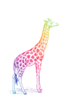 Clipart animal girafe coloré