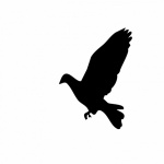Clipart, silhouette, pigeon