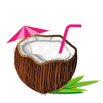 Coquetel Tropical Bebida de Coco