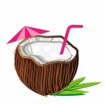 Bebida Tropical Coquetel de Coco