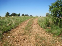 Curving Dirt Road Following A Hill