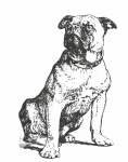 Esboço de Clipart de cachorro sentado