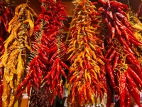 Dried chili peppers hanging