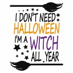 Halloween Broomstick Witch Fun