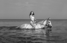 Horse, Rider, Rider, Sea, Water