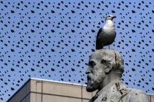 Funny seagull on statue head