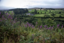 Krajobraz farm w Irlandii Północnej