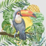 Aquarela colorida de pássaro tucano