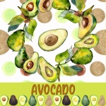 Плакат с фруктами авокадо