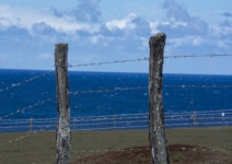 Barbed wire fence along ocean